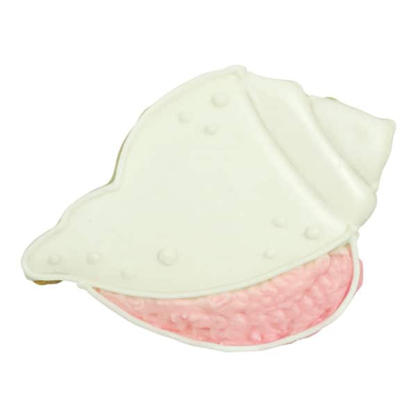 conch shell cookie