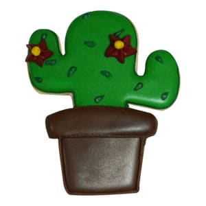 cactus cookie
