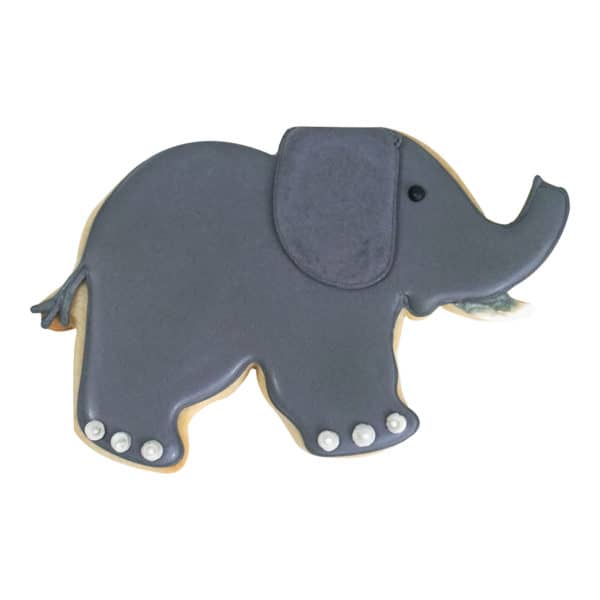 elephant cookie