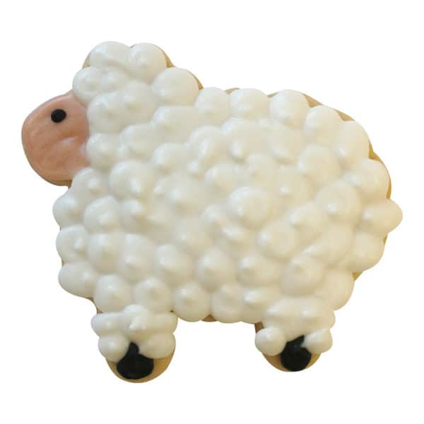 sheep cookie