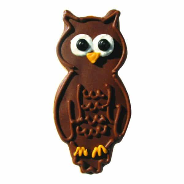 owl cookie