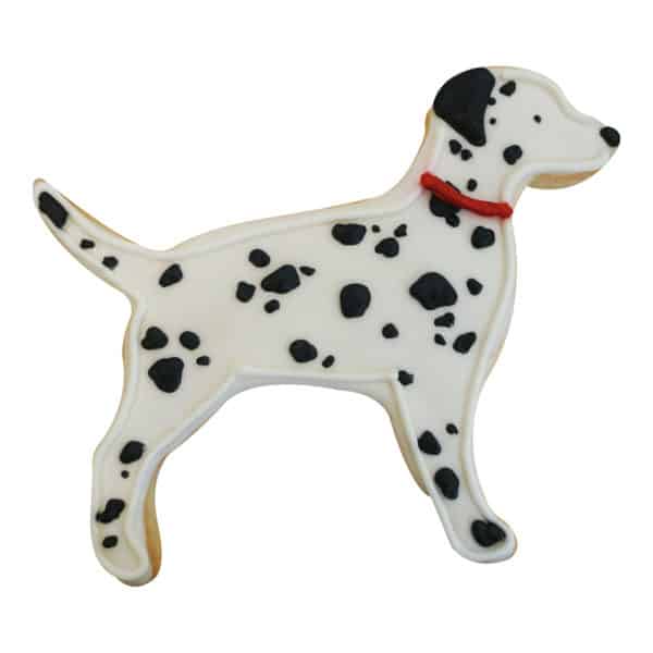dalmation dog cookie