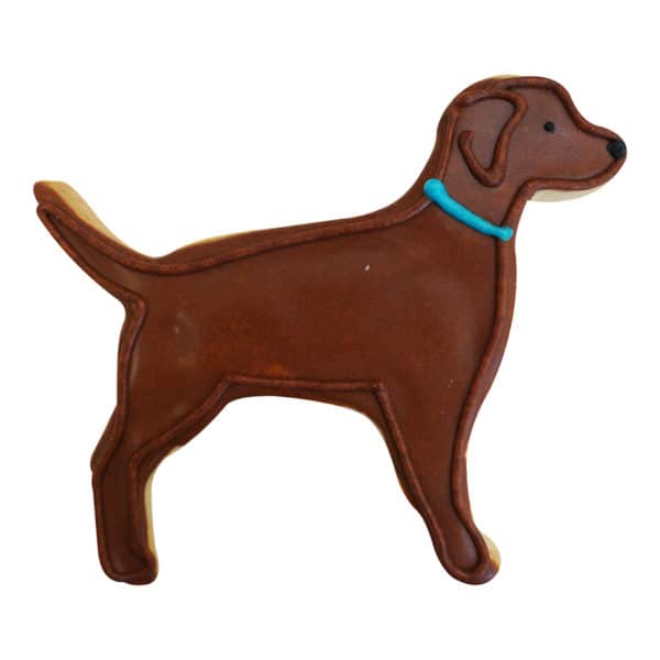 lab dog cookie