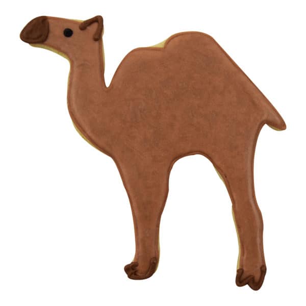 camel cookie