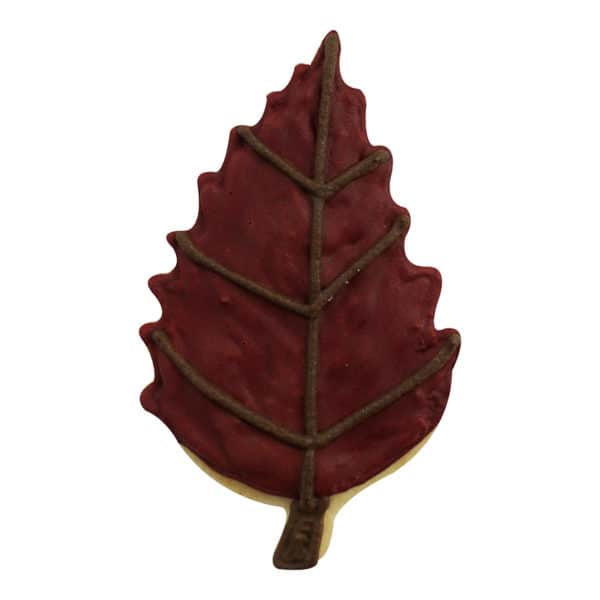 fall leaf cookie