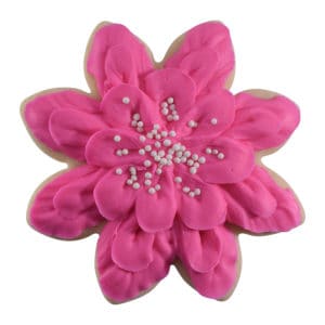 magenta daisy cookie