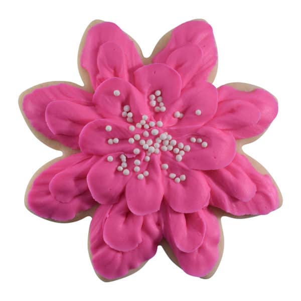 magenta daisy cookie