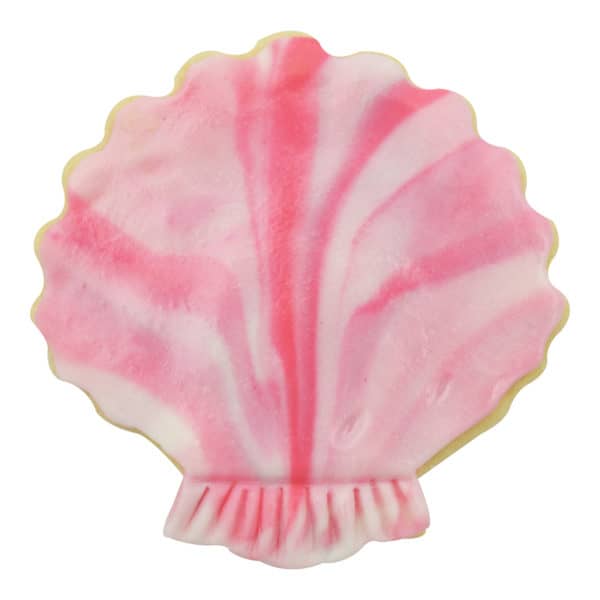 seashell cookie