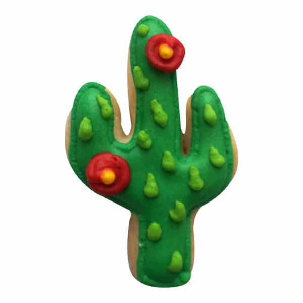 cactus cookie